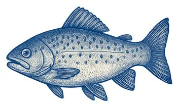 Disegno di un pesce
